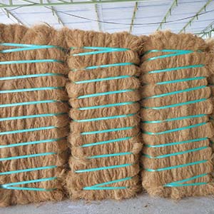 Coir Fiber